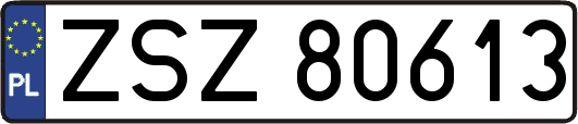 ZSZ80613