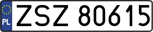 ZSZ80615