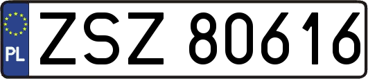 ZSZ80616