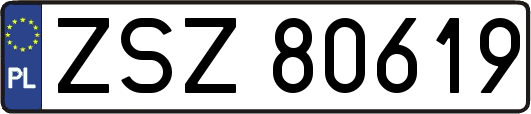 ZSZ80619