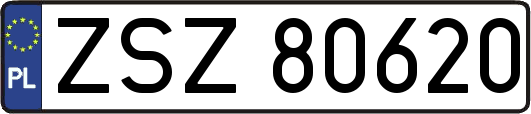 ZSZ80620