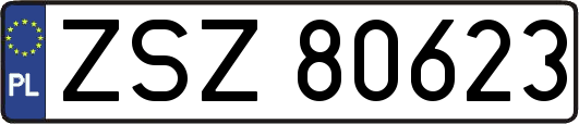 ZSZ80623