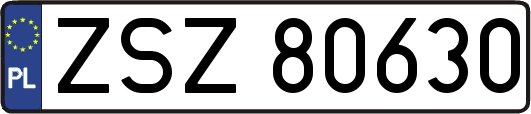 ZSZ80630