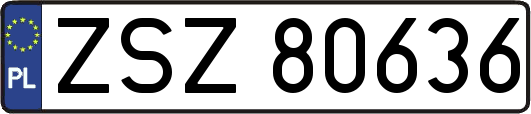 ZSZ80636
