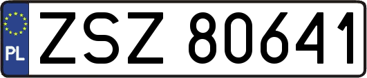 ZSZ80641