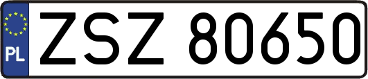 ZSZ80650