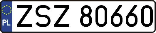 ZSZ80660