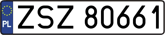 ZSZ80661