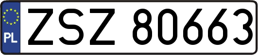 ZSZ80663