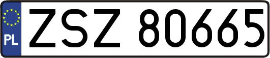 ZSZ80665