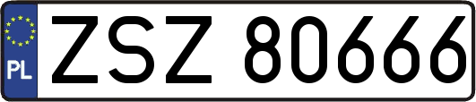 ZSZ80666