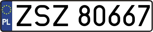 ZSZ80667