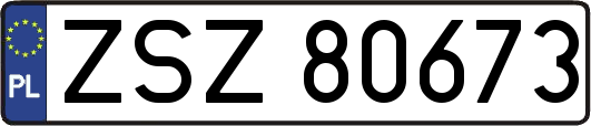 ZSZ80673