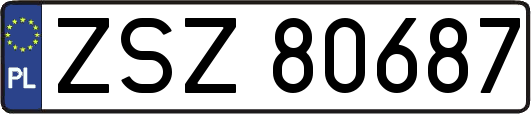 ZSZ80687