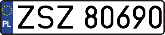 ZSZ80690