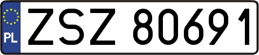 ZSZ80691