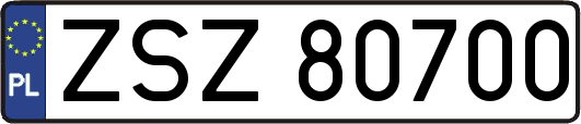 ZSZ80700