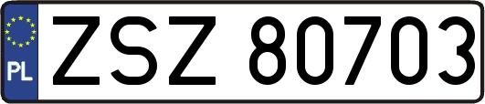 ZSZ80703