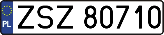 ZSZ80710