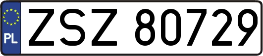 ZSZ80729