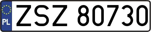ZSZ80730