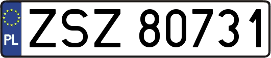 ZSZ80731