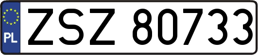 ZSZ80733