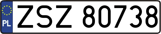 ZSZ80738