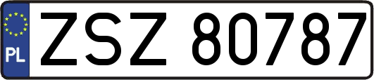 ZSZ80787