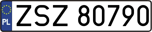 ZSZ80790