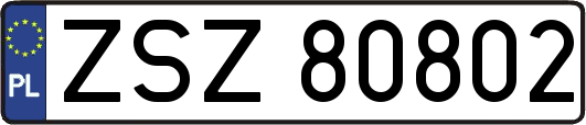 ZSZ80802