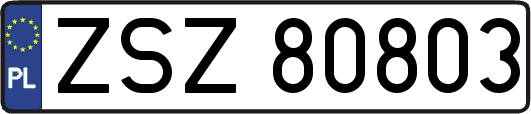 ZSZ80803