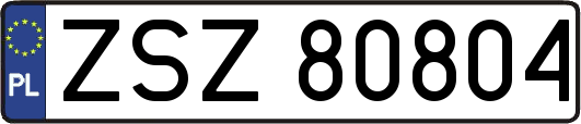 ZSZ80804