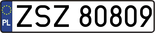 ZSZ80809