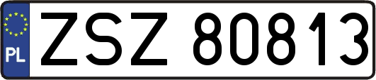 ZSZ80813