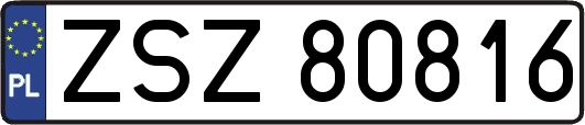 ZSZ80816
