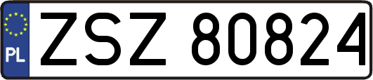 ZSZ80824