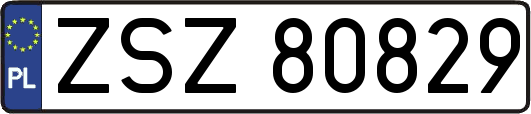 ZSZ80829