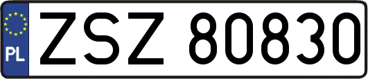 ZSZ80830