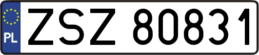 ZSZ80831