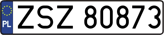 ZSZ80873