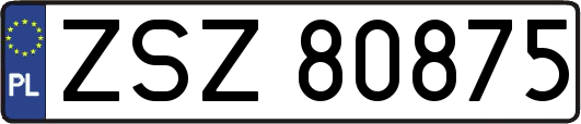 ZSZ80875