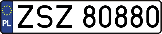 ZSZ80880