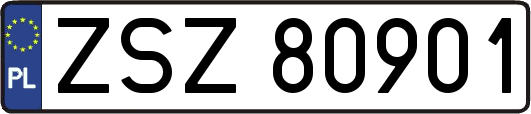ZSZ80901