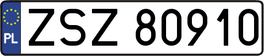 ZSZ80910