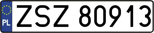 ZSZ80913