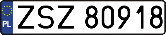 ZSZ80918