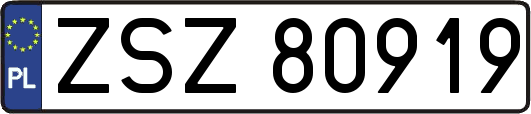 ZSZ80919