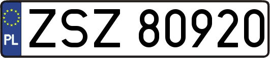 ZSZ80920