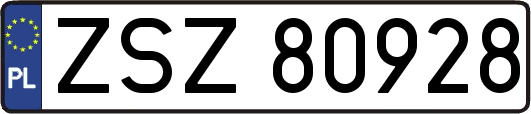 ZSZ80928